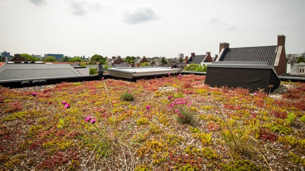 dakopbouw wakkerstraat-07